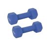 Yoga Hand Dumbbell Pair/ Body Sculpting Dumbbell Set For Women - Blue - Dumbbells