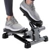 Mini Stepper with Monitor - Low Impact Black and Gray Stepper - Great Design for Working Out at Home - Stepper Machine - black - Metal