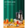 Juicer Machines Vegetable and Fruit with 3-Speed Setting; Upgraded Version 400W Motor Quick Juicing; Juicing Recipe Included - Silver