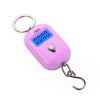 Portable Hanging Hook 50Kg/5g Precision Electronic Digital Scale Crane Scale Weight Pocket Scale Luggage Scale - Black