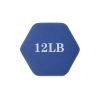 Yoga Hand Dumbbell Pair/ Body Sculpting Dumbbell Set For Women - Blue - Dumbbells