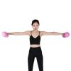 Yoga Hand Dumbbell Pair/ Body Sculpting Dumbbell Set For Women - Purple - Dumbbells