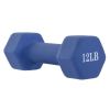 Yoga Hand Dumbbell Pair/ Body Sculpting Dumbbell Set For Women - Blue - Dumbbells